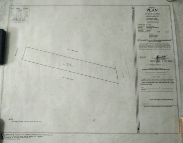 Commercial Lot For Lease along quirino hi-way03