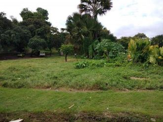 "Commercial Lot near Highway Basak, Mandaue City"02