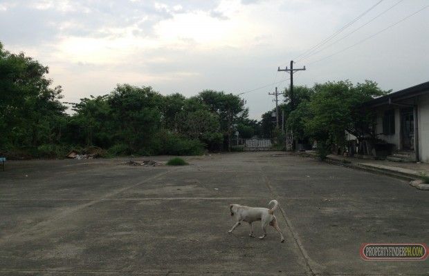 "19,630 sqms For Rent / Lease in Marikina good for warehouse or factory"03