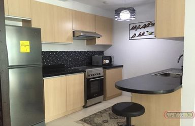The Meranti Tower at Two Serendra 2BR Condo for Rent taguig City02