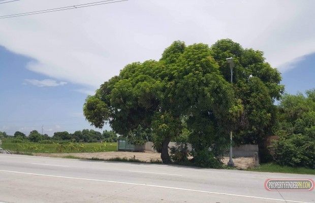 800 sqm Commercial lot for lease03