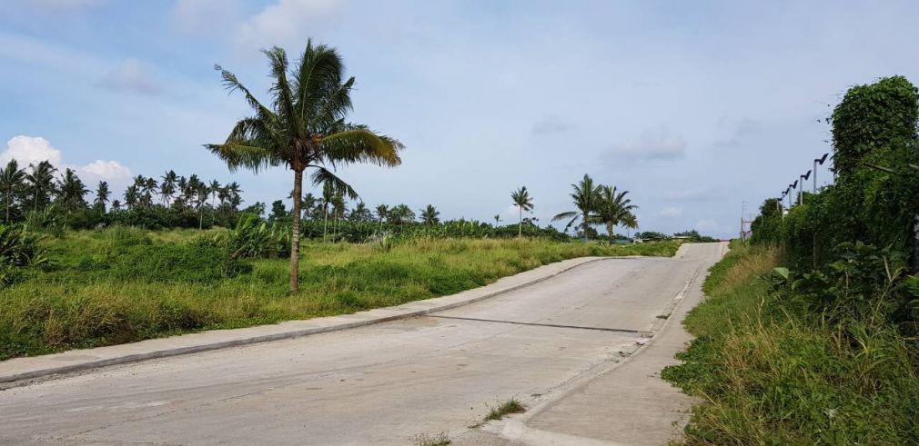 "Industrial Lot for Lease: Aguinaldo Highway, Silang, Cavite: 2.5 has,"01
