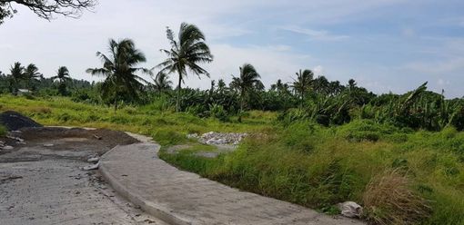 "Industrial Lot for Lease: Aguinaldo Highway, Silang, Cavite: 2.5 has,"02