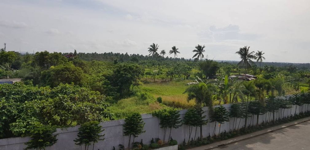"Industrial Lot for Lease: Aguinaldo Highway, Silang, Cavite: 2.5 has,"04