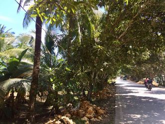 Great Lot Size for such Price General Luna Highway Lot for Lease/Rent02