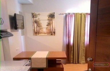 Mivesa Studio Unit for RENT (fully furnished)02