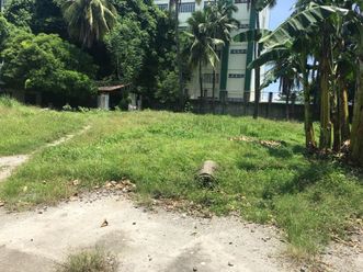 "3,000 sqm, Lot for Lease-Quirino Ave., San Dionisio, Paranaque City"02