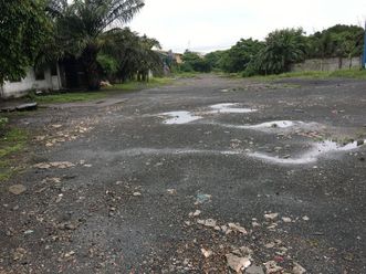 "26,617 sqm.,Lot for Lease-Along Wet Service Road,Paranaque City"02