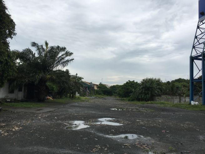 "26,617 sqm.,Lot for Lease-Along Wet Service Road,Paranaque City"03