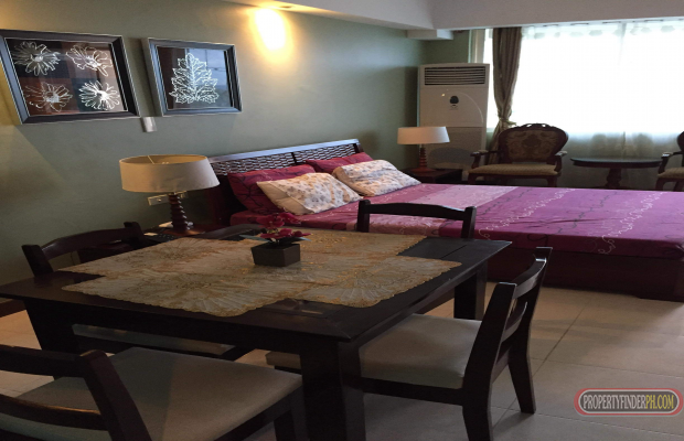 "Studio Condo in Mactan Cebu - Lapu Lapu ,fully furnished inside the So"04