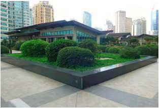 THE RESIDENCES AT GREENBELT09