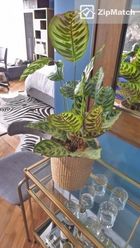 1 Bedroom Condominium Unit For Rent in Joya Lofts and Towers02