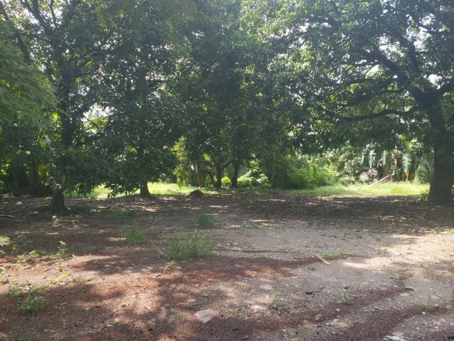 "Lot (1,054 sqm) for Rent in Novaliches, Quezon City"01