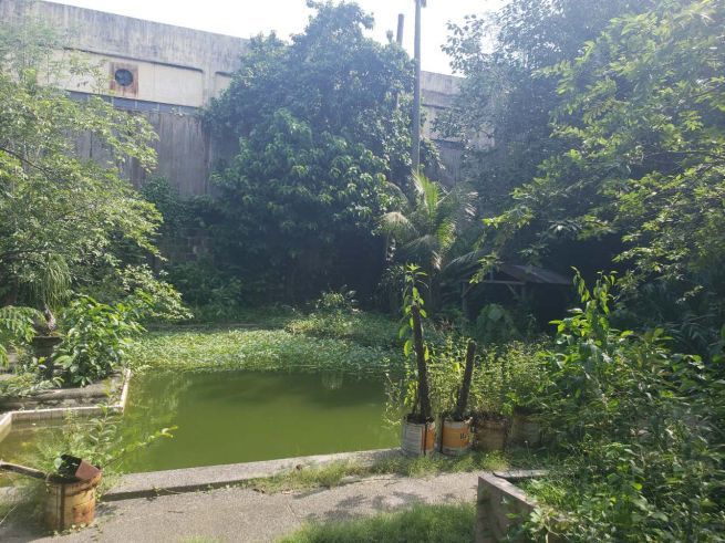 "Lot (1,054 sqm) for Rent in Novaliches, Quezon City"04