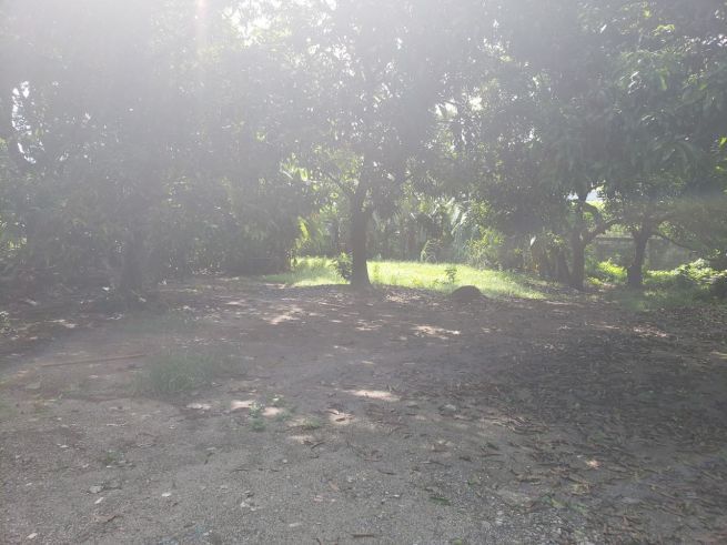 "Lot (2,769 sqm) for Rent in Novaliches, Quezon City"03