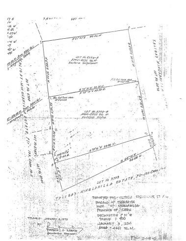 Minglanilla Lot for Gas Station - For Lease03