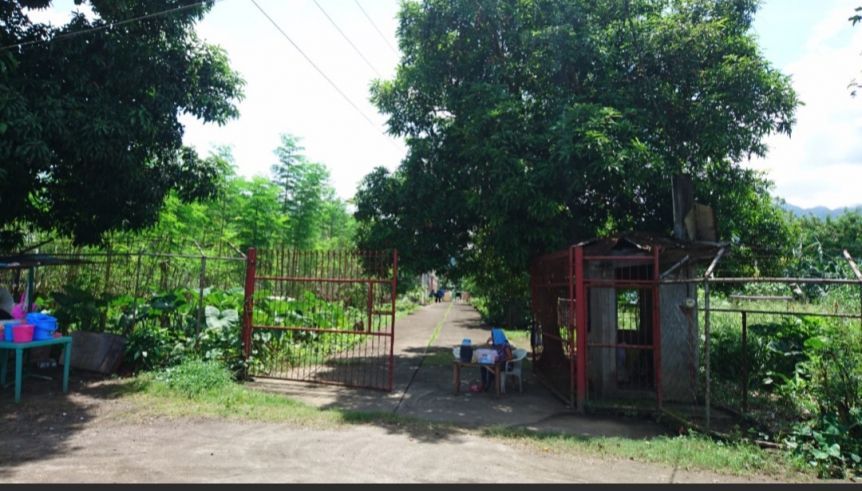 "For Rent/Lease Vacant Lot in Makiling, Calamba, Laguna"01