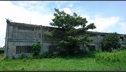 "For Rent/Lease Vacant Lot in Makiling, Calamba, Laguna"02