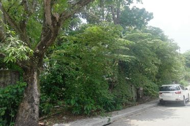 500sqm Vacant Lot for Lease02