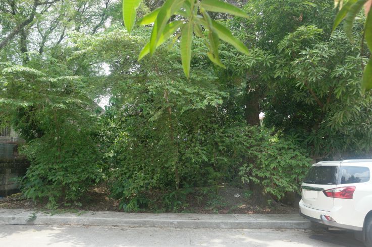 500sqm Vacant Lot for Lease04