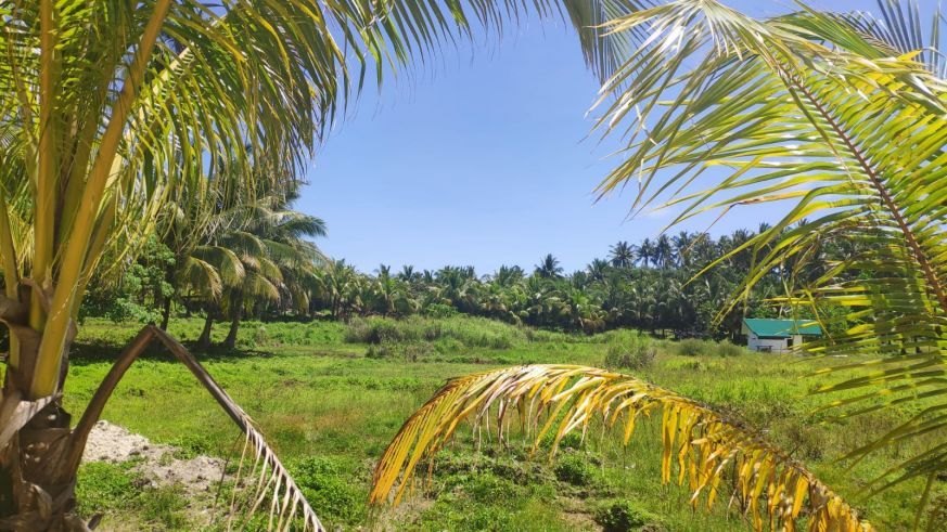 Siargao General Luna Lot for Rent - 500-1500 sqm - Pristine area01