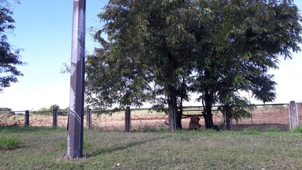 "58,000 Sqm Commercial Vacant Industrial Lot For Rent In Laguna Along S"02