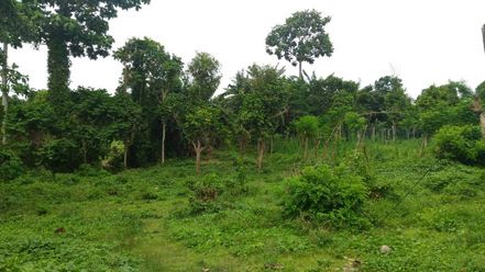 "For Rent: Overlooking big farm lot in Tanauan City, Batangas"02