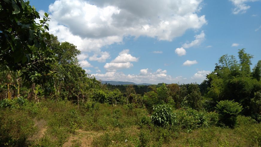 "For Rent: Overlooking big farm lot in Tanauan City, Batangas"04
