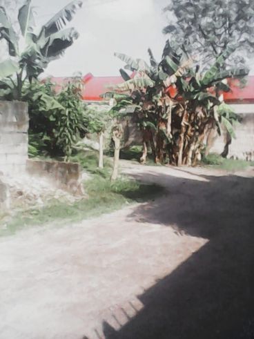 "530m2 Commercial Lot along Mawaque Road, Mabalacat City"03