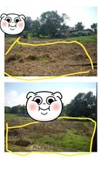 800 Sq.m. Lot Property For Rent02