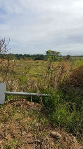 "Commercial Lot For Rent at Mariveles,Bataan in kamaya point road infro"04