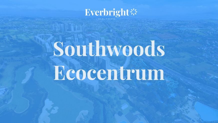 "FOR RENT Commercial Lot in Southwoods Ecocentrum, Cavite"01