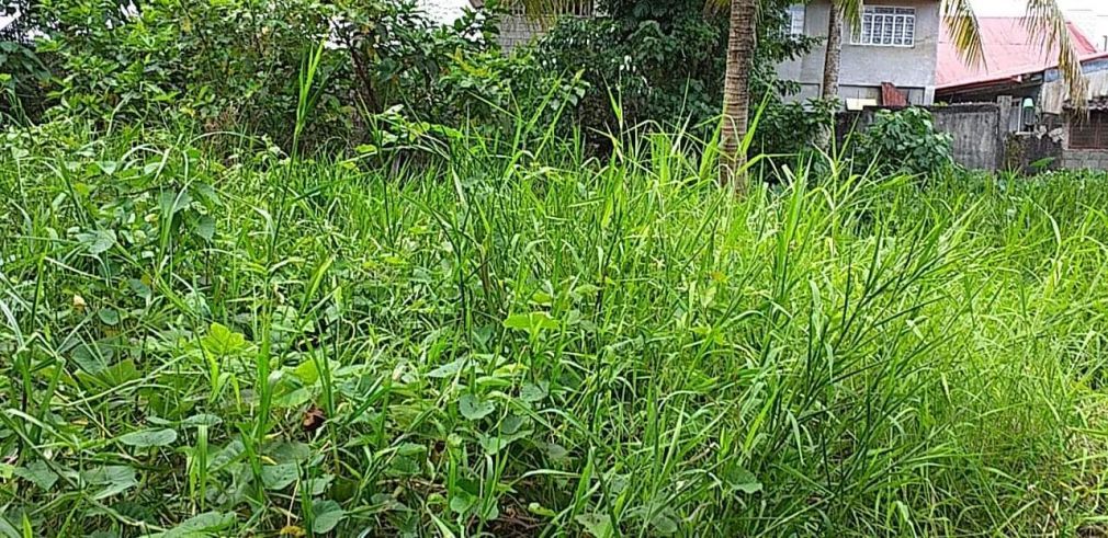 Open Space for Lease03