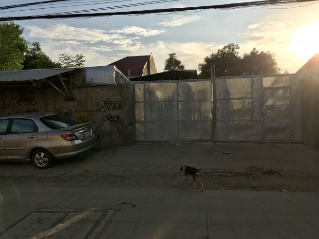 Fenced Lot/warehouse for rent in Paknaan Cebu04