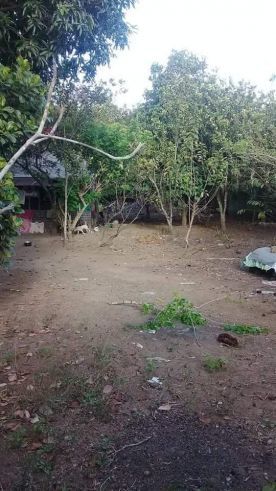 "lot in Kaong, Silang, Cavite for rent"03