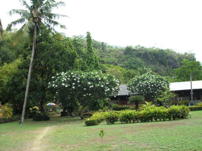 "Philippines Beach Resort/Property 15,000sqm"03