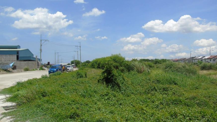 "Industrial Lot for Lease in Guiguinto Bulacan-5,000sqm"03