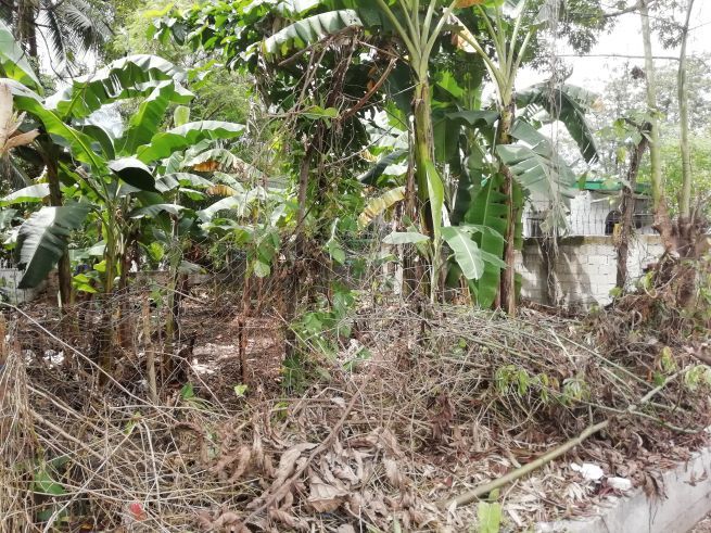 "Lot for Rent at Brgy Gaya Gaya, San Jose Del Monte City, Bulacan"04