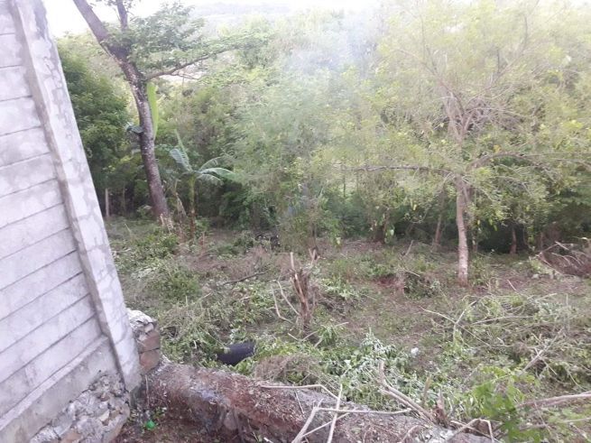 1500sqm lot for rent in tatala binangonan03