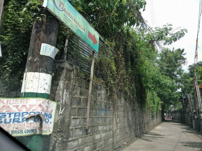 800 sqm Lot for Lease in Bulacan A Mabini Pinagbakahan03
