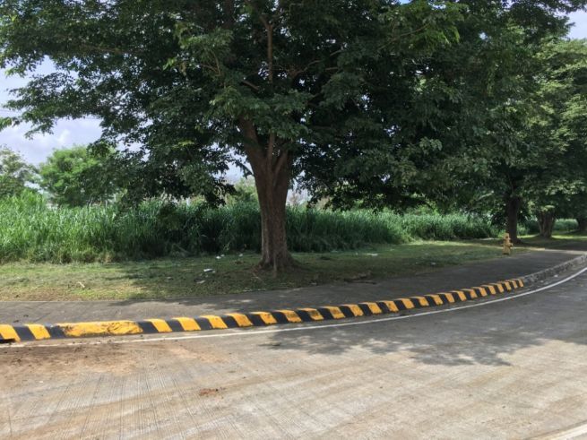 "PEZA Zone Industrial Lot for Lease in Greenfield City, Sta. Rosa, Lagu"03