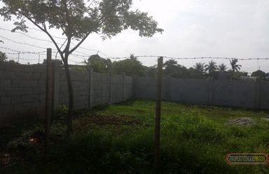 Residential or Commercial Land02