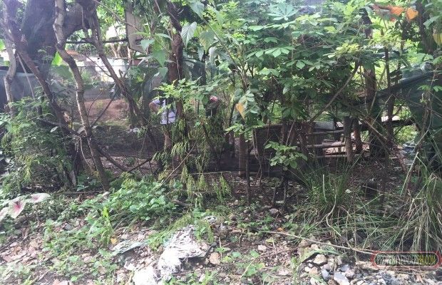"Lot for rent in Monterey Hills, Marikina City 371 sq.m"04