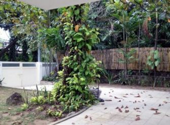 "Classic 3 Bedroom House and Lot for Rent in Forbes Park, Makati City"02