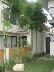 Banawa House in Panorama For Rent02