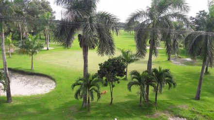 Fully Furnished 3 Bedroom Condo unit for rent in Friendship - 60K02