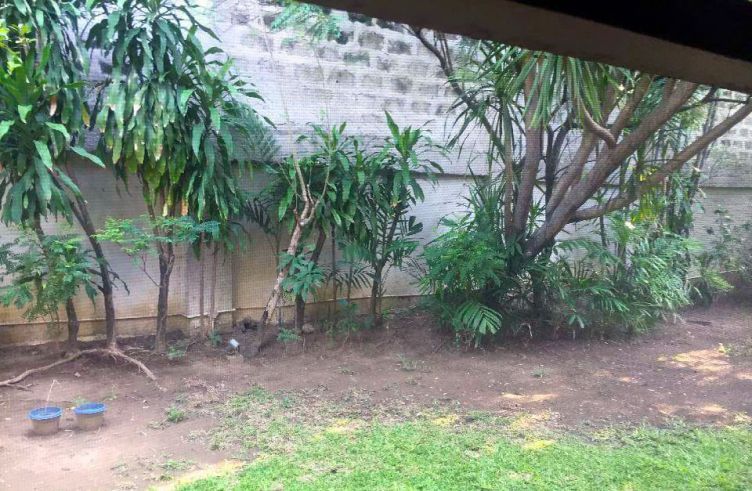 4 Bedroom Spacious House for Rent in San Lorenzo Village04