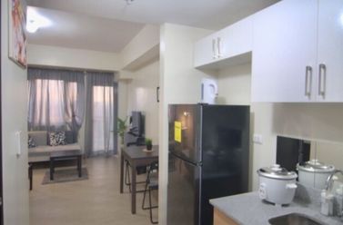 Studio unit at Manhattan Plaza Tower 102