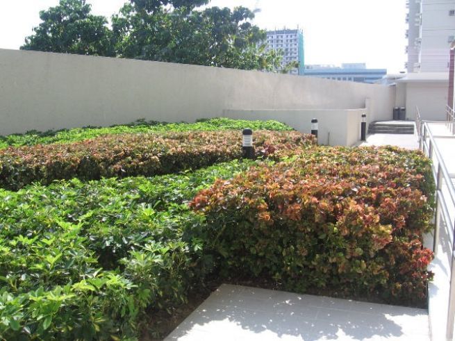 Avida Towers Cebu Studio For Rent in Cebu IT Park Cebu City Furnished04