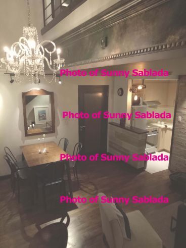 1BR loft Mosaic  in Greenbelt - NYC Style Condo03